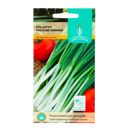 Semen onions "Russian" Winter Batun, 1 g