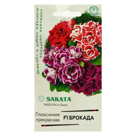 Gloxinia flowers "Brookada", F1, granules, 4 pcs.