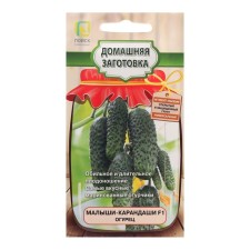 Seeds of cucumber 