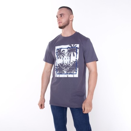 Male Paradise T -shirt, graphite color, size 48