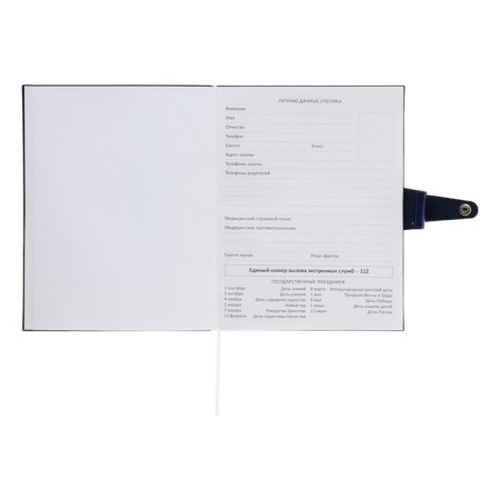 Universal diary for grade 1-11 Favorite, soft cover, button, artificial leather, foil embossing, refrain, lies, 48 ​​sheets-16