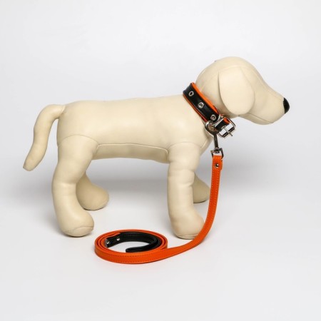 Set of a collar (58x2.5 cm) and a leash (130x1.4 cm) from eco -leather, black with orange-2