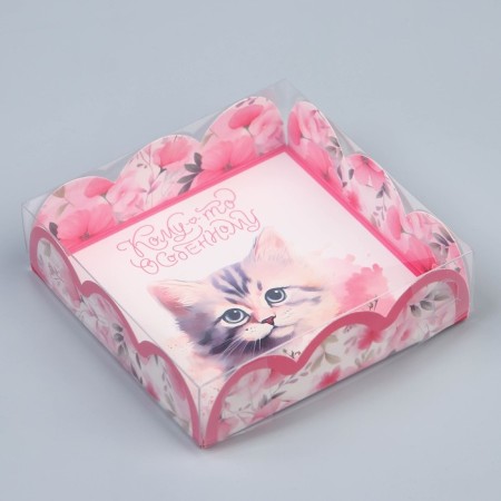 Cookie box, confectionery packaging with PVC lid, “kitten”, 10.5 x 10.5 x 3 cm