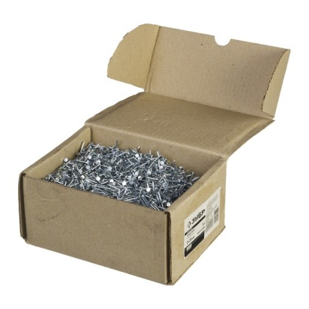 Nails Bison master, thick, galvanized, 2x25 mm, 5 kg-2
