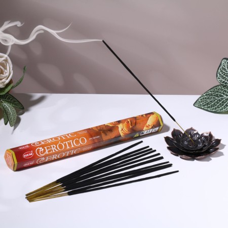 Incense HEM "Erotic. Erotic", 20 sticks in packaging, hexagon