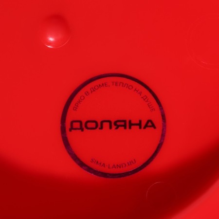 Tortopic with a lid, a removable stand for cakes, 11 cells, 30.5 × 21.5 cm, red color-8
