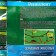 Biological replacement of mole bi -grouping, package, 100 g