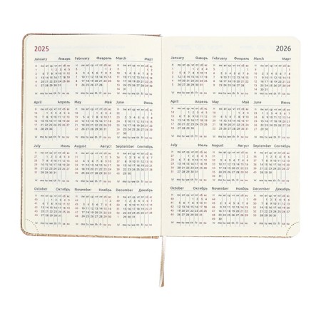 Dated diary 2025 A5 168 sheets, Devente.Barbara, a solid cover to leatherette with foam, praise, perforation, lies, block 70, beige, beige-10
