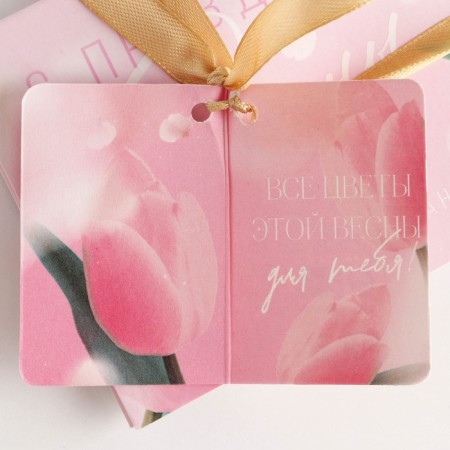 Gift set "since March 8": Planning and pen Plastic-9