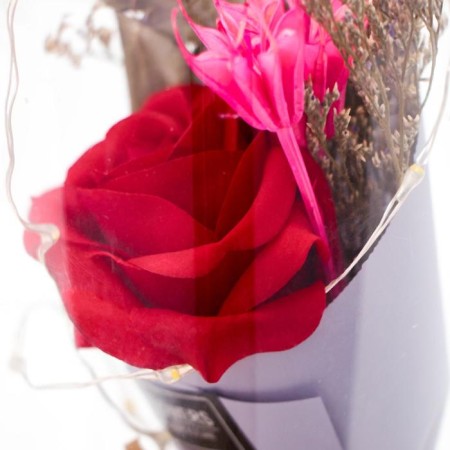 Nightlight "Rosa flask in the bouquet" LED 3AA MIX 19x9.5x9.5 cm Risalux-6