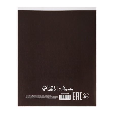 Substitute Calligrata "Superneeon", 48 sheets in a cell of physics, with reference material, covered cardboard, OFSET block-3