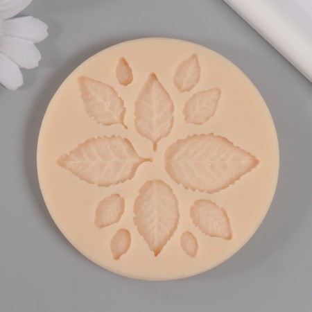 Mold Silicon "Leaves" 0.7x1 cm -2.3x3.6 cm mix-1