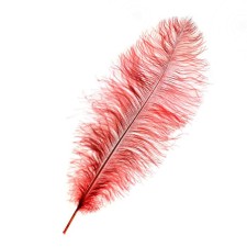Feather for decor, length from 45 to 50 cm, color powder-violet