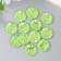 Buttons plastic for creativity 2 punctures "Kant Rhin" set 12 pcs green d = 1.7 cm