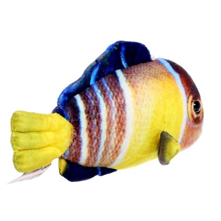 Soft toy "Fish Blub Mini", 16 cm-3