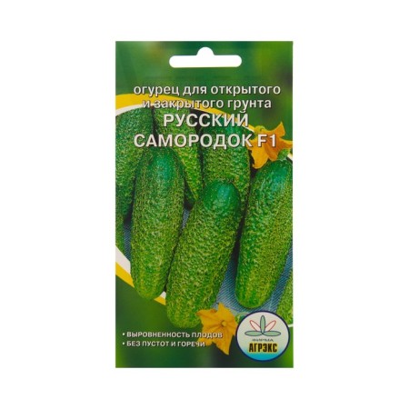Seeds of cucumber "Russian nugget", 10 pcs