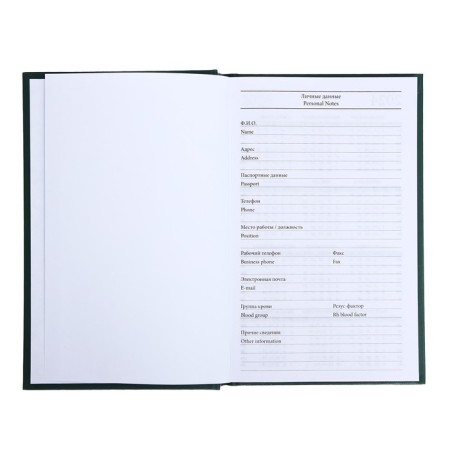 Deliciper of Leduced A5, 128 sheets, boumvinyl cover, green-10