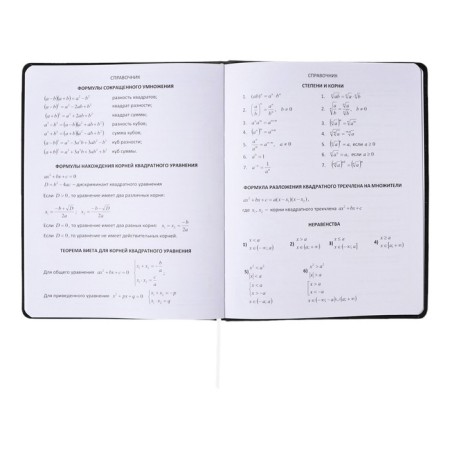 Universal diary for grade 1-11, solid cover, artificial leather, foil embossing, liesse, 80 g/m2-9