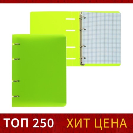 Notebook on rings A5 80 sheets in Calligrata cage, salad, plastic cover, offset unit-1
