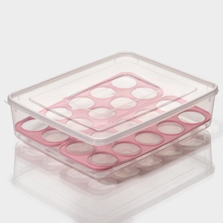 Egg storage container, 20 cells, 27.5 × 22 × 7 cm, color mix-5