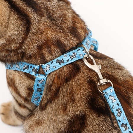 Set "Dogs", leash 120 x 1 cm, og 23-35 cm, blue-8