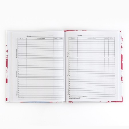 School diary 5-11 grade, in a solid cover, 48 liters. "Style"-3