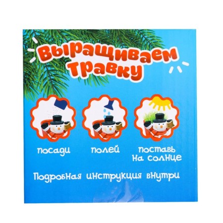 Set for experiments “grow grass”, snowman-7