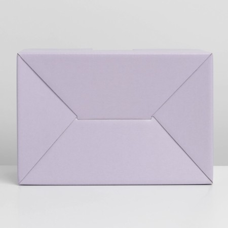 Gift folding box, packaging, "lavender", 22 x 15 x 10 cm-6