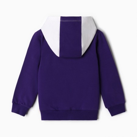 Kit for girls (sweatshirt, trousers), purple color, height 92 cm-4