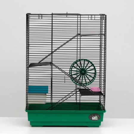 The cage for rodents "Pigzon" No. 5, with 3 floors, equipped, 41 x 30 x 58 cm, green mix-1
