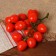 Flip "Tomatoes on a branch" 3.5x16.5 cm, on a branch 16 pcs, mix