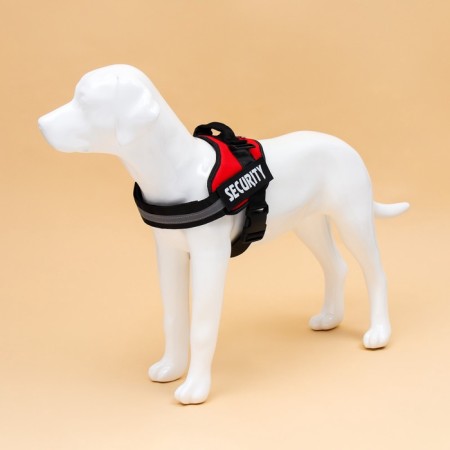 C9 sloping is soft reflective, size l, og 68-80 cm, weight 17.5-32.5 cm, red-1