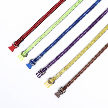 A collar with a reflective prostrate "Neon", 34 x 1 cm, a mix of flowers-8