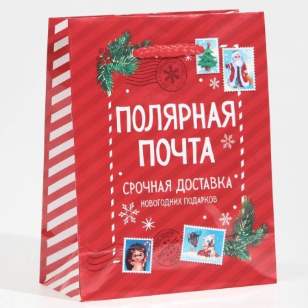 Packet Laminated Vertical Polar Mail, S 11.5 x 14.5 x 5.5 cm, New Year