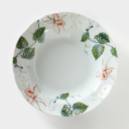 Porcelain plate "Fiona", 500 ml, d = 24 cm-1