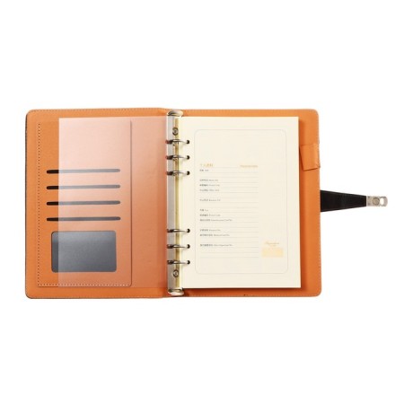 Organizer on the rings, A5 format, 90 sheets, line, with a knife, cover of the leather mix-6