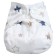 Panties-scammer, reusable, "stars"