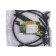 Builder, d = 80 cm, h = 50 cm, leg d = 2 cm, plastic, black, "currant +"