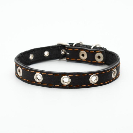 Single-layer leather collar with corrugated eyelets, dimensionless, 40 x 1.5 cm, Osh 27-35 cm, black 7-1
