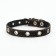 Single-layer leather collar with corrugated eyelets, dimensionless, 40 x 1.5 cm, Osh 27-35 cm, black 7