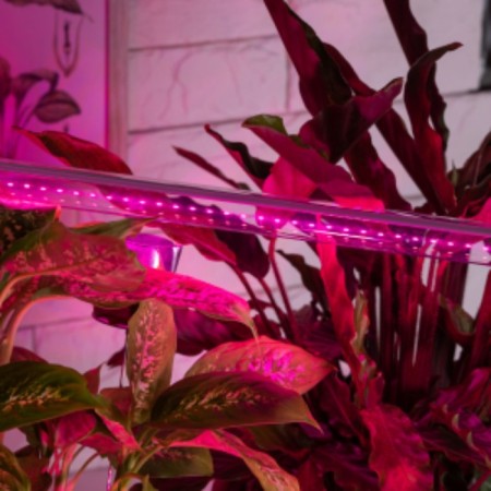 LED phytolamp, 9 watts, T8, 600 mm, base G13, IP20, blue-red spectrum, purple, "era"-5