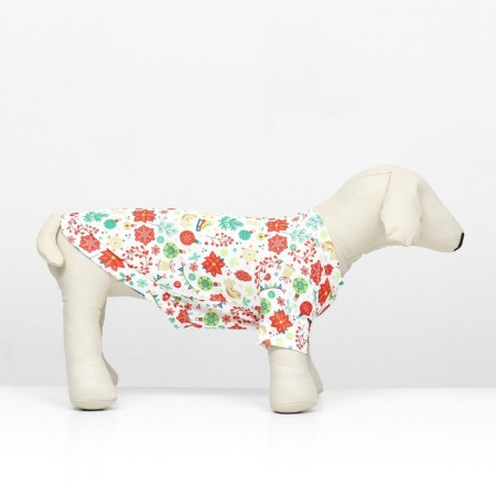 Folder for animals "New Year's carousel", size 2xl-1