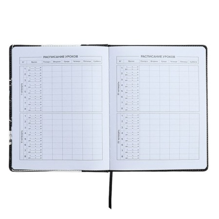 Universal Diary Grade 1-11, 48 sheets "Racing", solid cover of artificial leather, lies, universal cheat sheet, block 80 g/m2-5