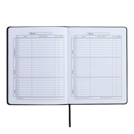Universal Grade 1-11 Diary, 48 sheets "Girl 2", solid cover of artificial leather, lies, universal cheat sheet, block 80 g/m2-6