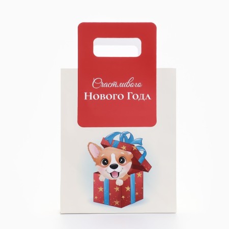 New Year. Gift package with a trim “Best Gift” 18 x 23 x 9 cm.-1