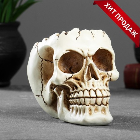 Skull candy stand 14x10x11cm