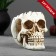 Skull candy stand 14x10x11cm
