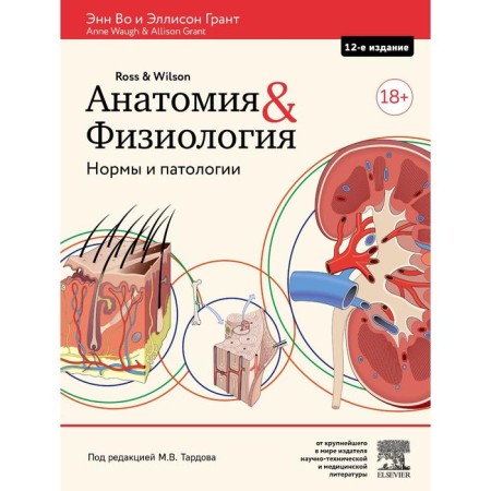 Anatomy and physiology. Norms and pathologies. In E., Grant E.