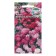 Flowers Iberis "South Evening", Euro, 0.1 g