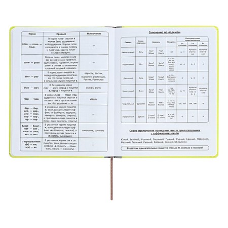 The universal diary for grades 1-11 is an excellent student, a solid cover made of artificial leather, silkography, lies, 48 ​​sheets, light green-10